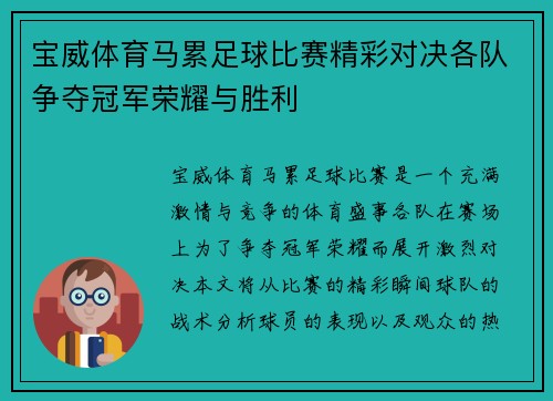 宝威体育马累足球比赛精彩对决各队争夺冠军荣耀与胜利