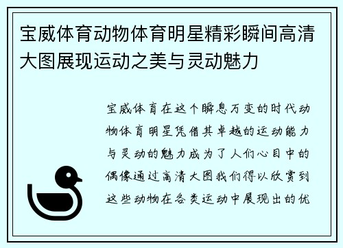宝威体育动物体育明星精彩瞬间高清大图展现运动之美与灵动魅力